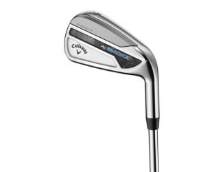 Paradym Ai Smoke Steel Irons