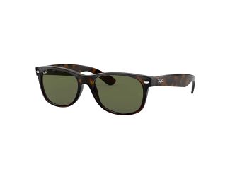 New Wayfarer Sunglasses