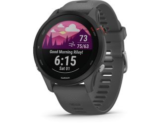 Forerunner 255, Slate Gray (46mm)