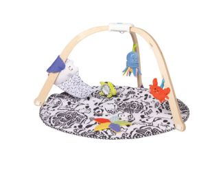 Ocean Easy-Fold Play Gym