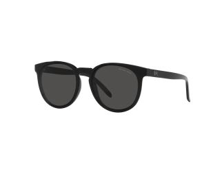 Texas Sunglasses