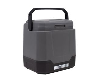 34qt AC/DC Cooler