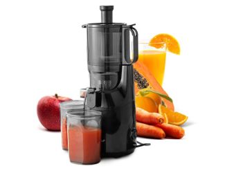 Big Mouth Whole Fruit Masticating Slow Juicer