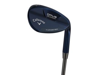 Opus Platinum Blue Wedge