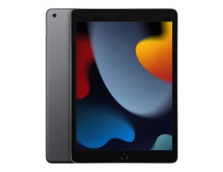 10.2-inch iPad Wi-Fi 256GB - Space Gray