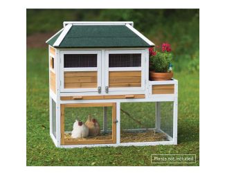 Chicken Coop w/ Herb Planter