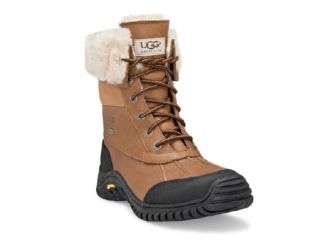 Womens Adirondack Boot III-Chestnut-10