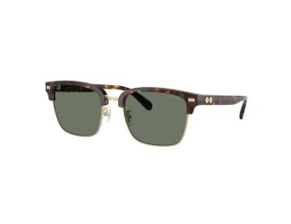 Rogue Retro Sunglasses