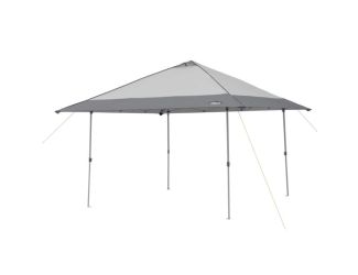 13ft x 13ft Instant Canopy