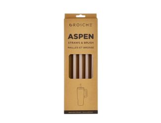 GROSCHE Aspen 40 oz 5 pack spare plastic straws - Cream White