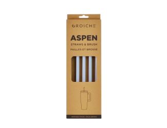 GROSCHE Aspen 40 oz 5 pack spare plastic straws- Slate Blue