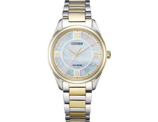 Ladies' Arezzo Eco-Drive Watch, Two-tone