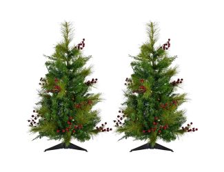 Set of Two 2-Ft. Newberry Pine Artificial Trees with Battery-Operated Multi-Colored LED String Light