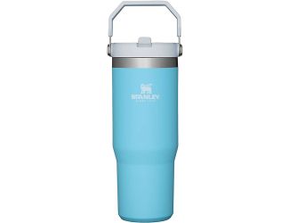 Stanley The IceFlow Flip Straw Tumbler	30 oz, Pool