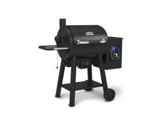 REGAL Pellet 400