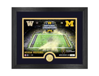 Michigan Wolverines 2023 CFP National Champions Celebration Photo Mint