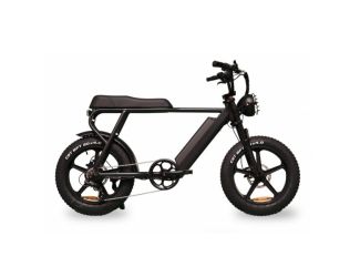 Happy Ernie Electric Bike Gray
