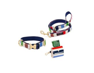 Medium/Large Collar, Leash & Doggie Bag Holder Bundle