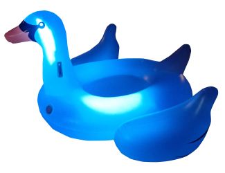 Giant LED Light Up Swan Float