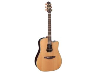 Garth Brooks Signature Acoustic-Electric Guitar