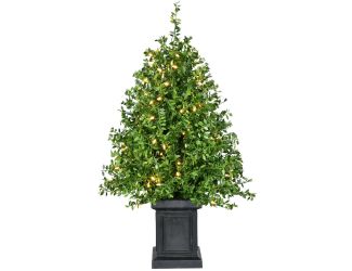 4-Ft. Boxwood Porch Tree in Black Pot with Warm White Lights