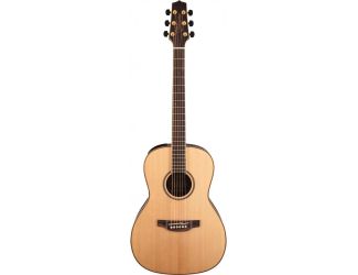 GY93E Acoustic-Electric Guitar