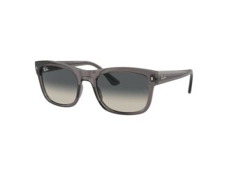 RB4428 Sunglasses