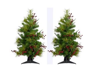 Set of Two 4-Ft. Newberry Pine Artificial Trees with LED String Lights