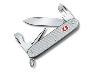 Pioneer Alox Silver