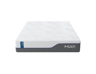 WellFlex 1.0 12-Inch Firm Mattress - Twin