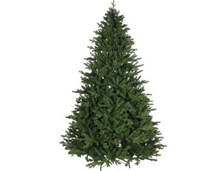 7.5-Ft. Oregon Pine Christmas Tree
