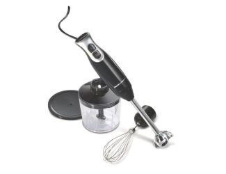 Immersion Blender w/ 3 Attachments