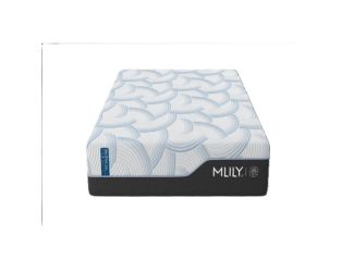 WellFlex Ice 1.0 14-Inch Firm Mattress - King